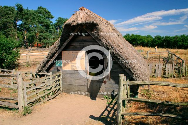 West Stow Country Park and Anglo-Saxon Village, Bury St Edmund's, Suffolk. Creator: Peter Thompson.