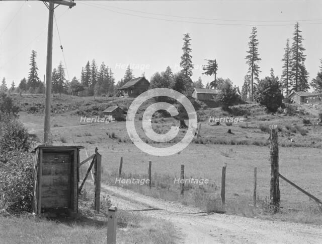 Western Washington stump farm, near Vader, Lewis County, Washington, 1939. Creator: Dorothea Lange.