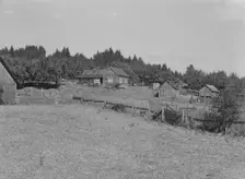 Western Washington subsistence farm, whittled out of the..., Grays Harbor County, Washington, 1939. Creator: Dorothea Lange
