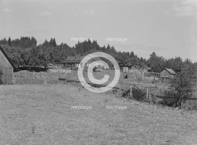 Western Washington subsistence farm, whittled out of the..., Grays Harbor County, Washington, 1939. Creator: Dorothea Lange.