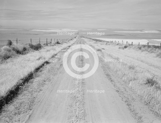 Western wheat country in a region which yields over twenty five..., Umatilla County, Oregon, 1939. Creator: Dorothea Lange.