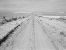 Western wheat country in a region which yields over twenty five..., Umatilla County, Oregon, 1939. Creator: Dorothea Lange