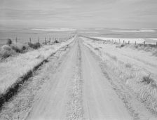 Western wheat country in a region which yields over twenty five..., Umatilla County, Oregon, 1939. Creator: Dorothea Lange