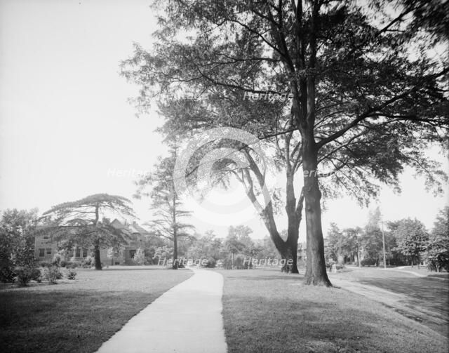 Western Boulevard, Detroit, Mich., between 1900 and 1920. Creator: Unknown.