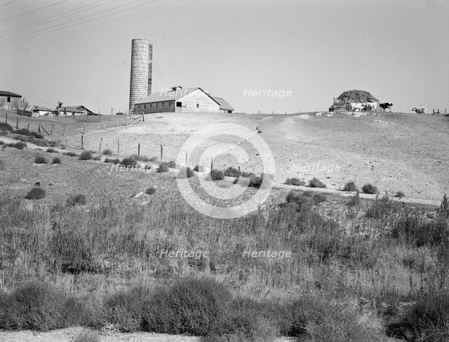 Western Idaho dairy farm, 1939. Creator: Dorothea Lange.