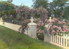"Westlawn," Edward Tiffany Dyer house, Great Plains Road, Southampton, New York, c1915. Creator: Frances Benjamin Johnston