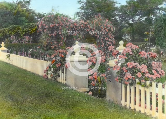 "Westlawn," Edward Tiffany Dyer house, Great Plains Road, Southampton, New York, c1915. Creator: Frances Benjamin Johnston.