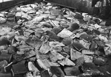 Whale blubber, Magdalene Bay, Spitzbergen, Norway, 1929