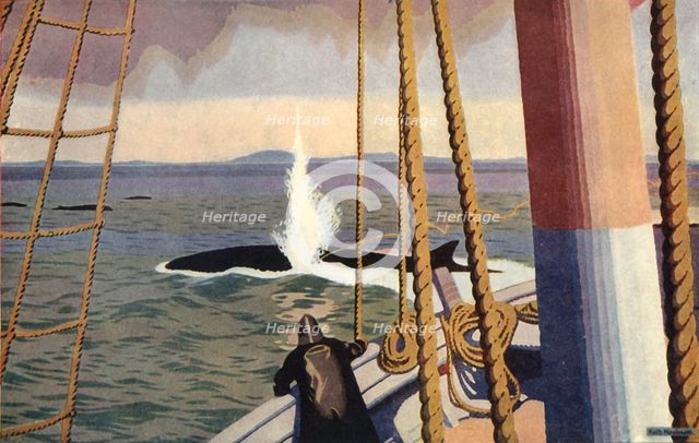 'Whaling in the Antarctic'. Creator: Keith Henderson.