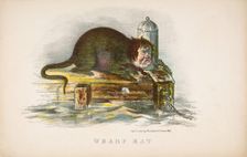 Wharf Rat, from The Comic Natural History of the Human Race, 1851. Creators: Henry Louis Stephens, L. Rosenthal