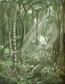 What the Mighty Coal Forests Were Like 1935