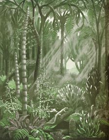 What the Mighty Coal Forests Were Like 1935