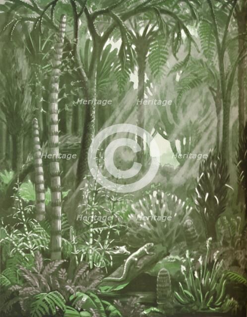 'What the Mighty Coal Forests Were Like', 1935. Artist: Unknown.