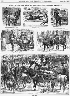 What a Pity the Race of Centaurs has become Extinct! 1866 Artist: George du Maurier