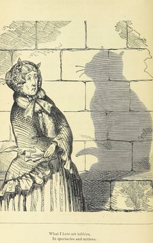 What I hate are tabbies, in spectacles and mittens, 1875. Creator: Unknown