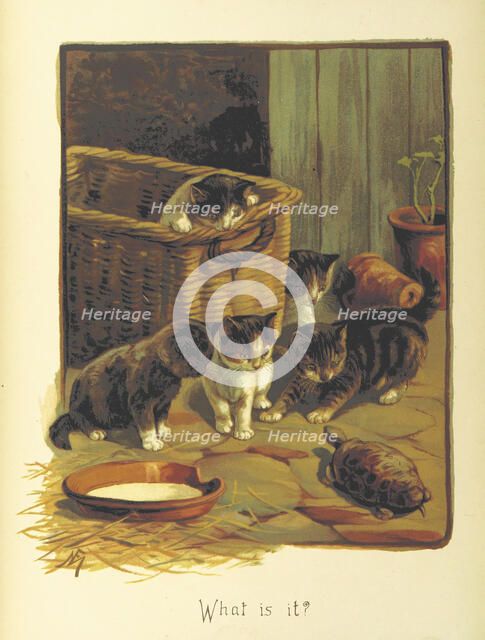 What is it?, 1893.  Creator: Fannie Moody.