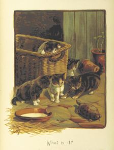 What is it?, 1893. Creator: Fannie Moody