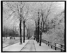 What sorcery within a night has made a city street into a fairy glade?, between 1900 and 1910. Creator: Unknown