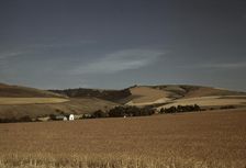 Wheat farm, Walla Walla, Washington, 1941. Creator: Russell Lee