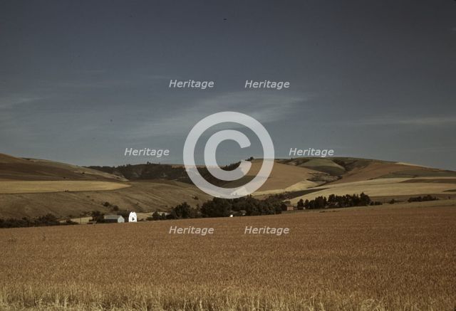 Wheat farm, Walla Walla, Washington, 1941. Creator: Russell Lee.