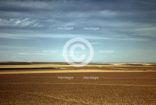 Wheat farm, Walla Walla, Washington, 1941. Creator: Russell Lee.