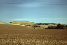 Wheat farm, Walla Walla, Washington, 1941. Creator: Russell Lee