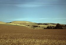 Wheat farm, Walla Walla, Washington, 1941. Creator: Russell Lee
