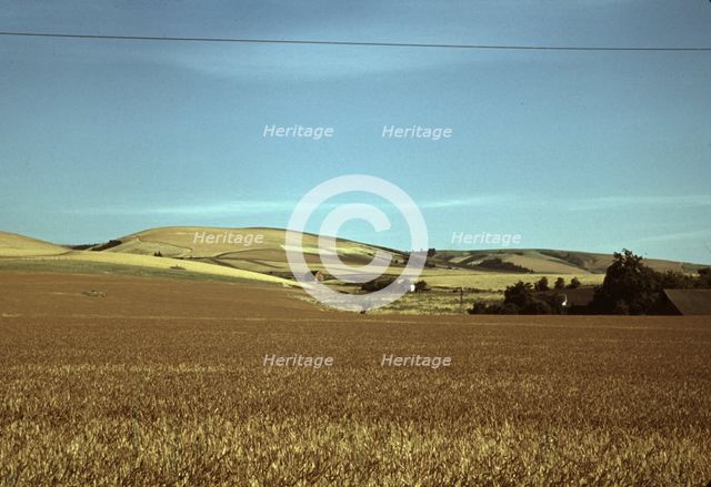 Wheat farm, Walla Walla, Washington, 1941. Creator: Russell Lee.