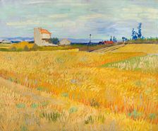 Wheat Field (Champ de blé), 1888