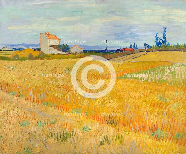 Wheat Field (Champ de blé), 1888.