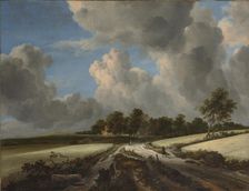 Wheat Fields, ca. 1670. Creator: Jacob van Ruisdael