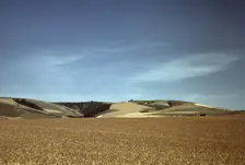 Wheat land, Walla Walla, Washington, 1941. Creator: Russell Lee