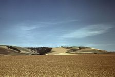 Wheat land, Walla Walla, Washington, 1941. Creator: Russell Lee