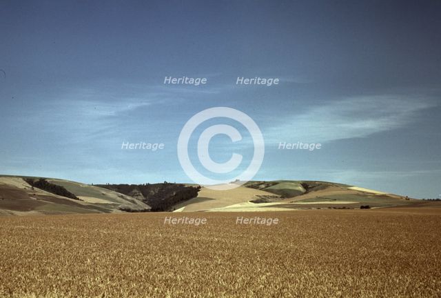 Wheat land, Walla Walla, Washington, 1941. Creator: Russell Lee.