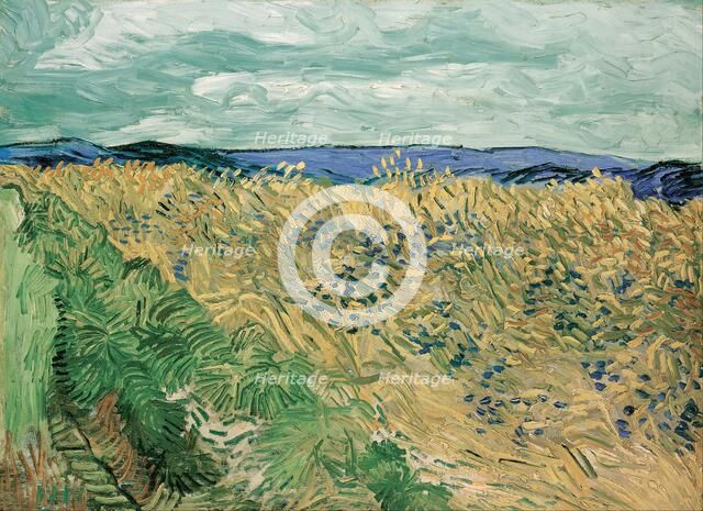 Wheatfield With Cornflowers, 1890.