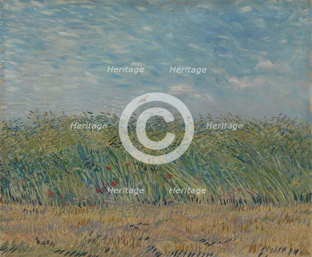 Wheatfield with Partridge, 1887. Creator: Gogh, Vincent, van (1853-1890).