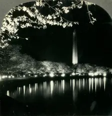 When It Is Cherry Blossom Time in Washington - A Lovely Night View of Washington Monument c1930s. Creator: Unknown