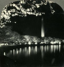 When It Is Cherry Blossom Time in Washington - A Lovely Night View of Washington Monument c1930s. Creator: Unknown