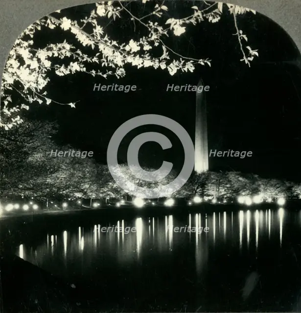 'When It Is Cherry Blossom Time in Washington - A Lovely Night View of Washington Monument', c1930s. Creator: Unknown.