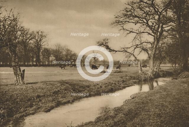 'Where Beverley Brook Winds Through The Royal Hunting Park of Richmond', c1935. Creator: Joel.
