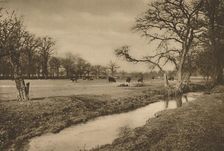 Where Beverley Brook Winds Through The Royal Hunting Park of Richmond c1935. Creator: Joel