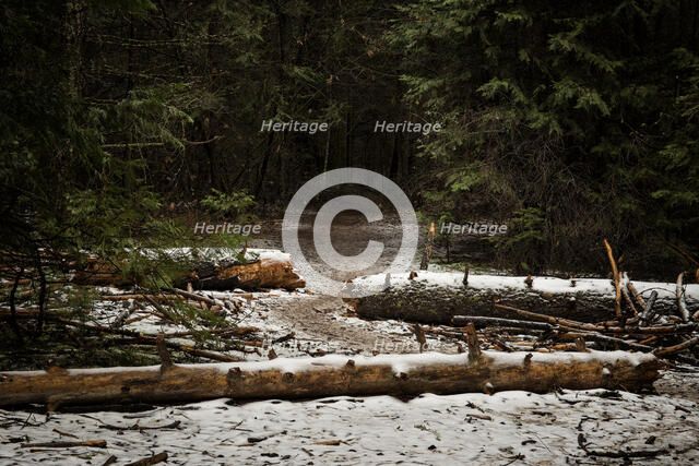 Where it Begins. Creator: Joshua Johnston.