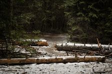 Where it Begins. Creator: Joshua Johnston