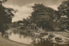 Where the Beasts of Prehistory Lurk By the Lake in the Palace Grounds c1935. Creator: Unknown