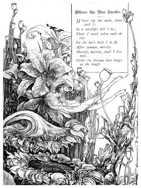 'Where the Bee Sucks', 1895. Artist: Unknown