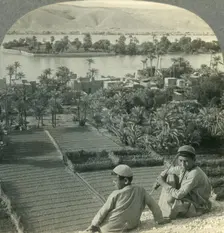 Where Tradition Locates the Garden of Eden - Valley of the Euphrates, 250 Miles N.W. of Babylon, Ir Creator: Unknown