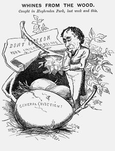 Whines from the Wood 1880. Creator: Montagu Blatchford