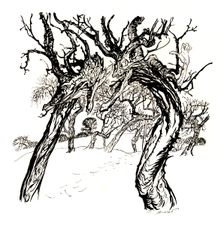 Whispering Trees, From A Dish of Apples 1917, (1923). Artist: Arthur Rackham