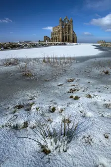 Whitby Abbey, North Yorkshire, 2006. Artist: Mike Kipling
