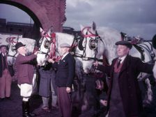 Whitbread dray horses being prepared for Lord Mayor's Show, c1955. Creator: Arthur Charles Kirby Ware